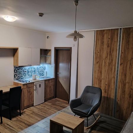 Centar Novi Sad-Apartman No 1 Kültér fotó